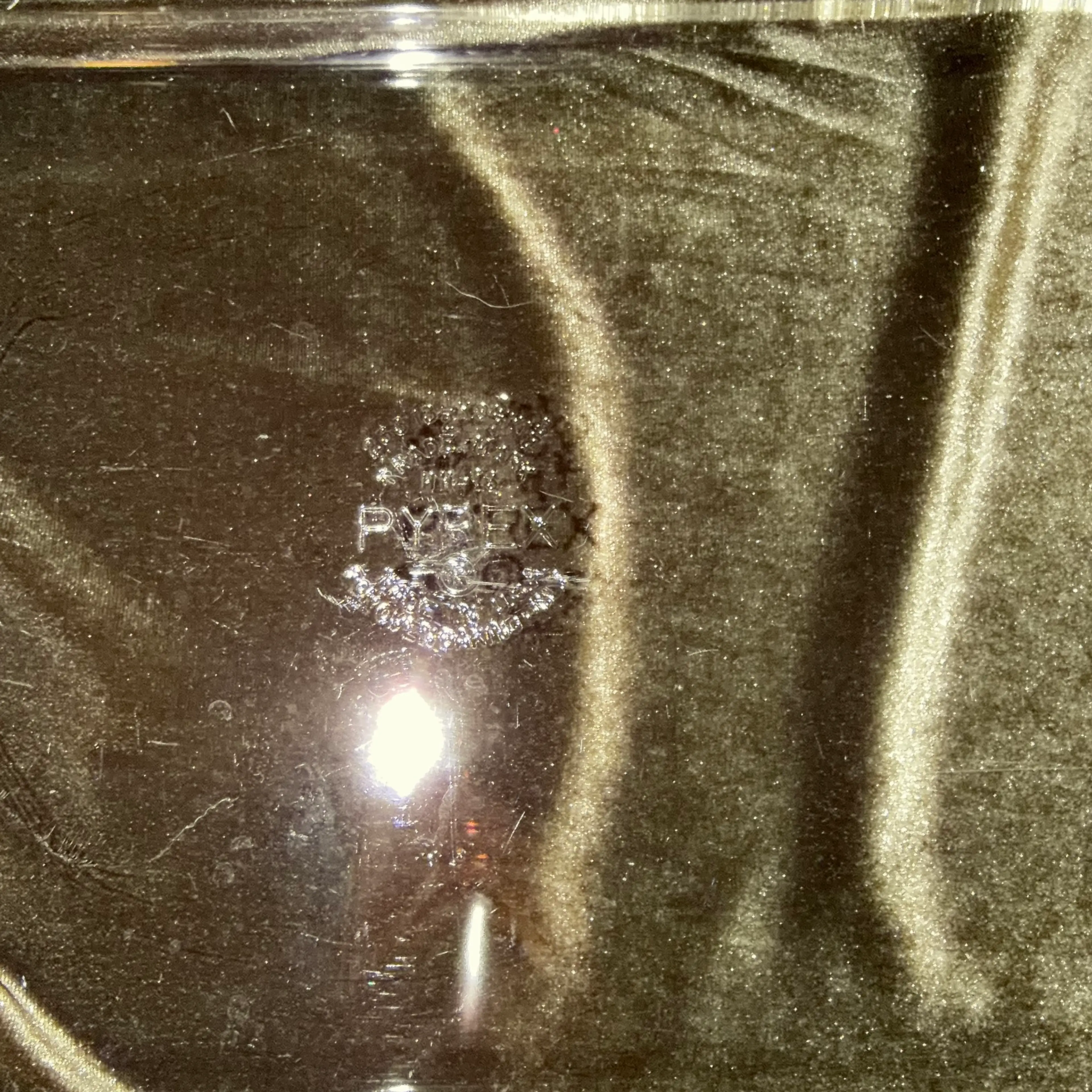 Image 2 of 7