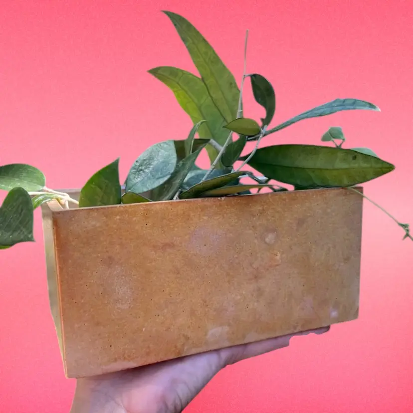 7βx4β Tumeric Dyed Rectangle Concrete Planter