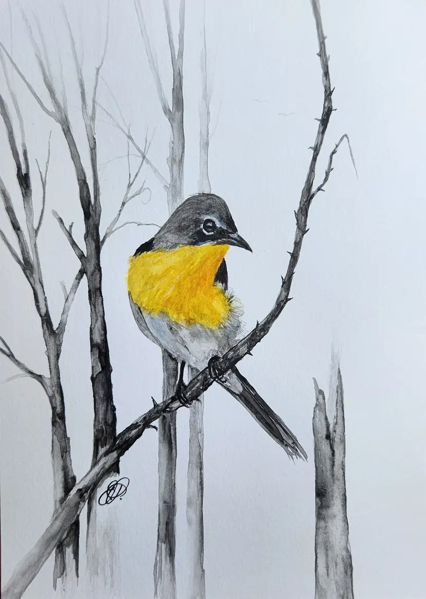 Yellow Breasted Chat Original Watercolor Painting Signed By The Artist 5x7