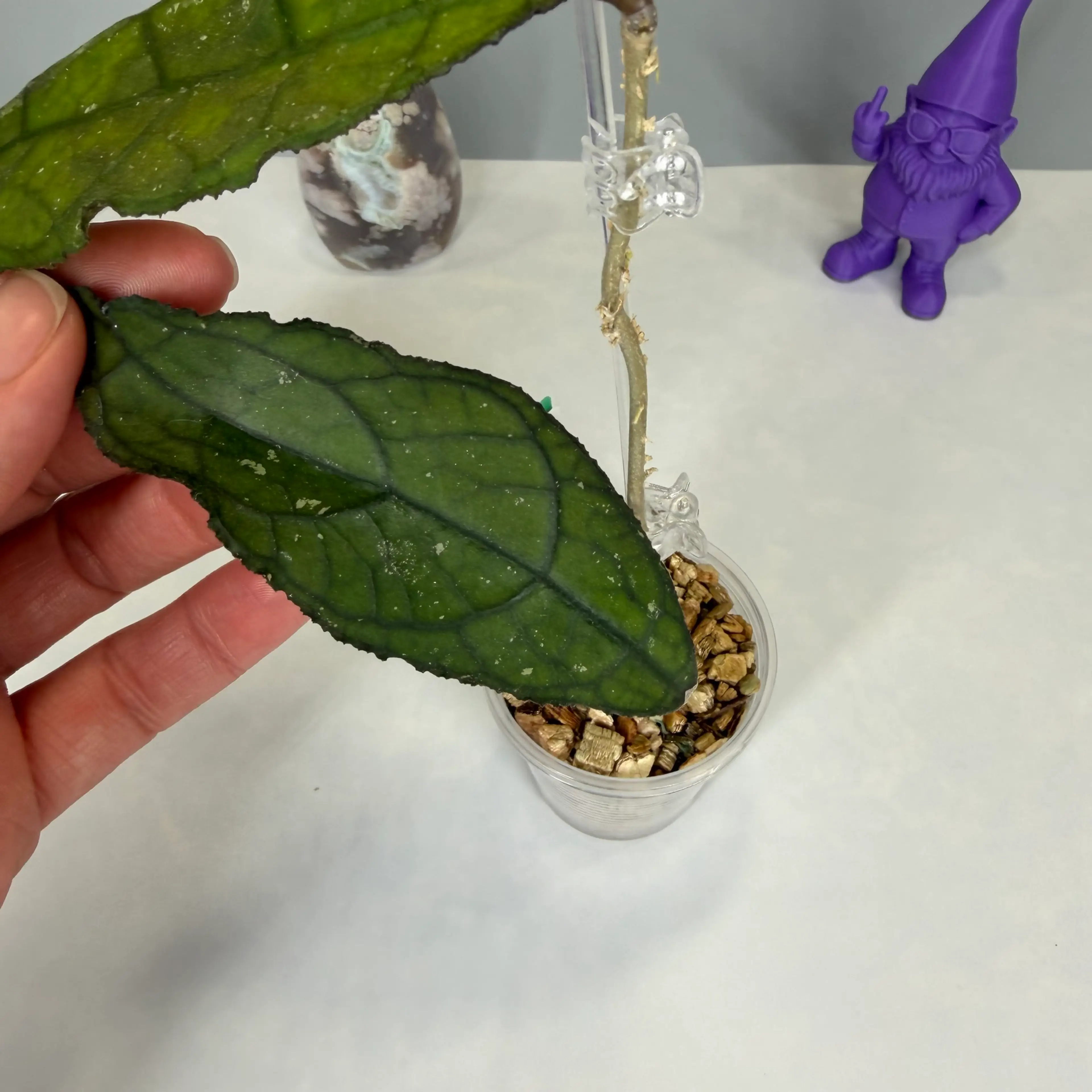 Image 3 of 3