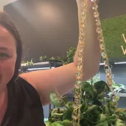 Champagne Glow Hanger