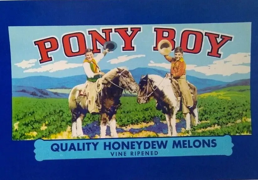 Pony Boy Honeydew Melons Children On Ponies Horses Fruit Crate Label 1950's 