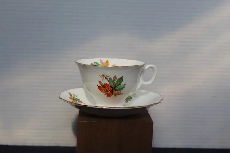 Samuel Radfords 2400A Bone China Tea Cup Saucer Set England Vintage 1940's