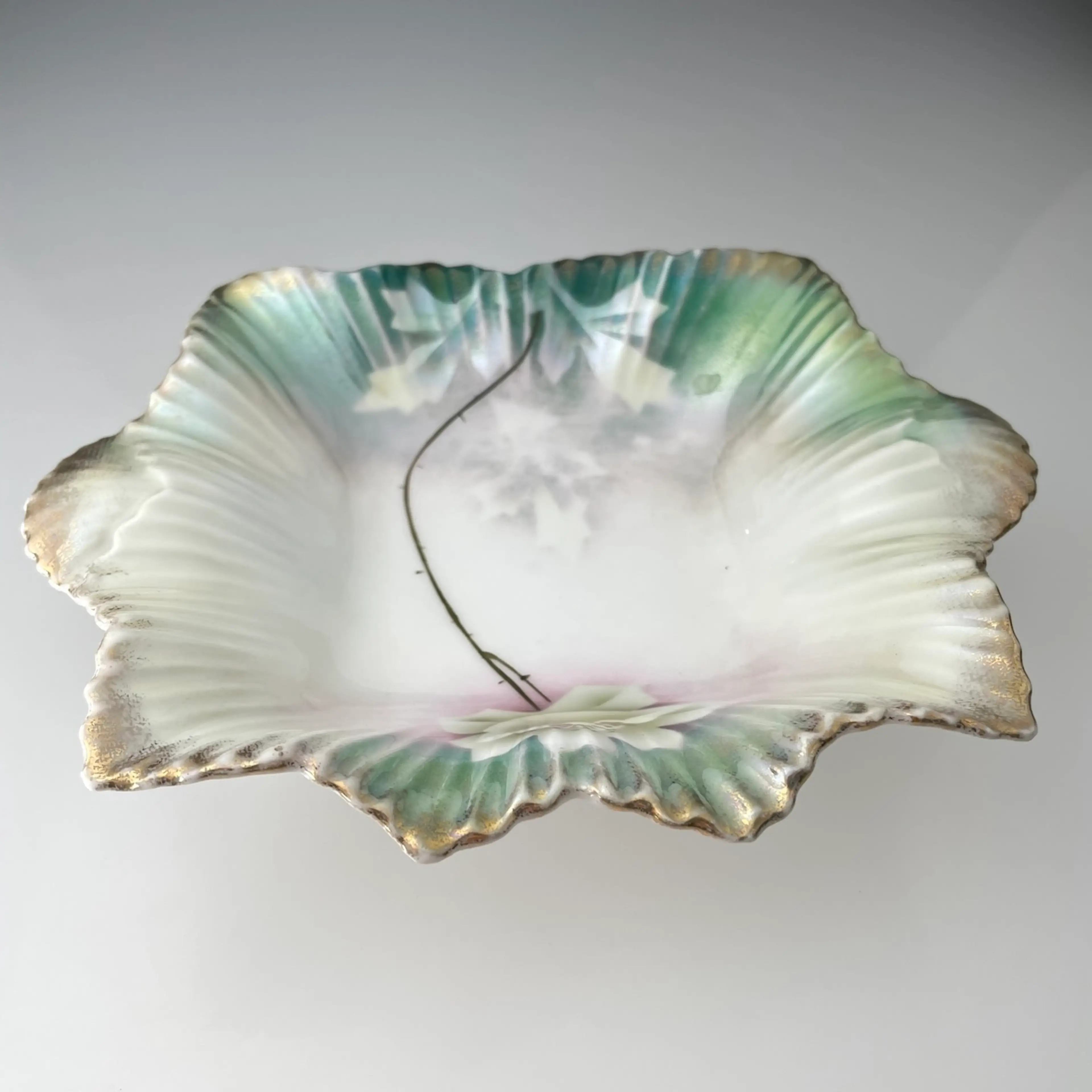 Image 4 of 20