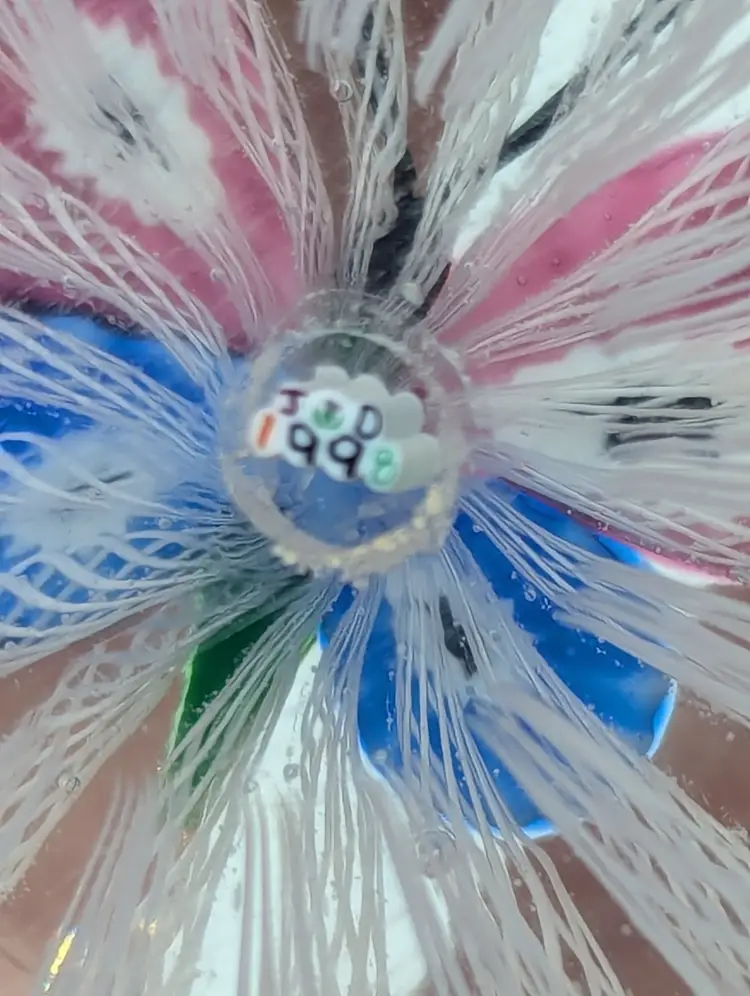 John Deacons Scotland 1998 Butterfly Millefiori Latticino Art Glass Paperweight