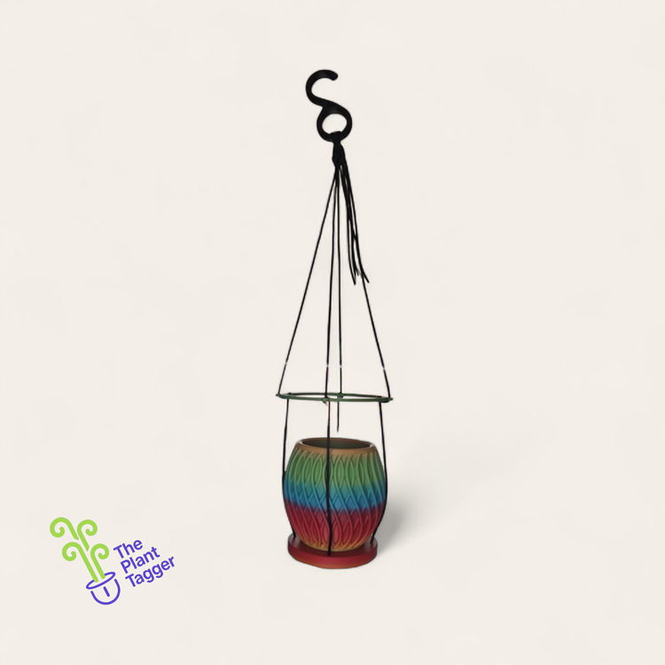 Anywhere Hanger Banger Roy G. Biv