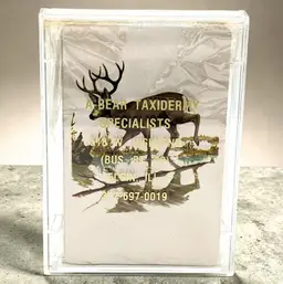 Buck 4 Point Deer Cards A-Bear Taxidermy in Elgin, IL Bernard F Quintiliani