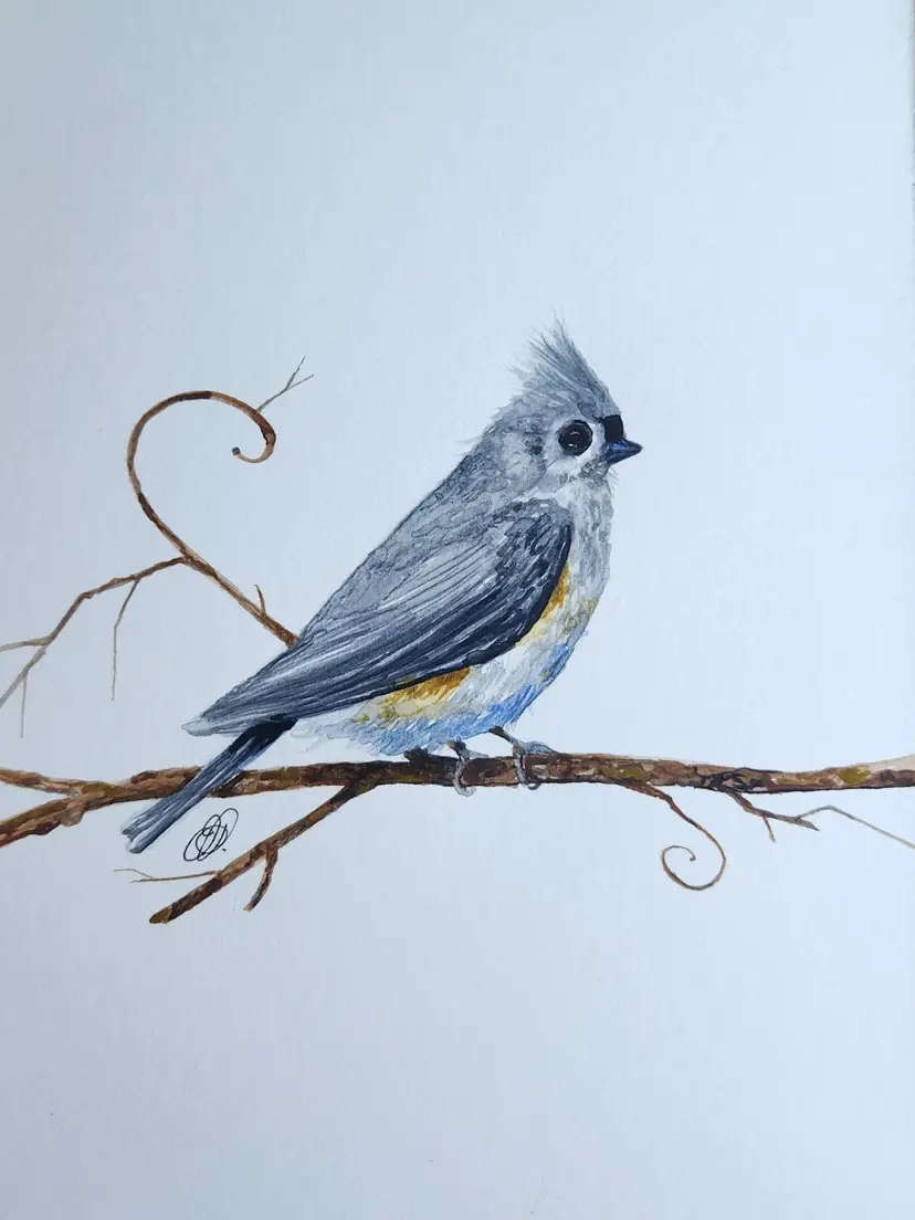 Livestream thumbnail