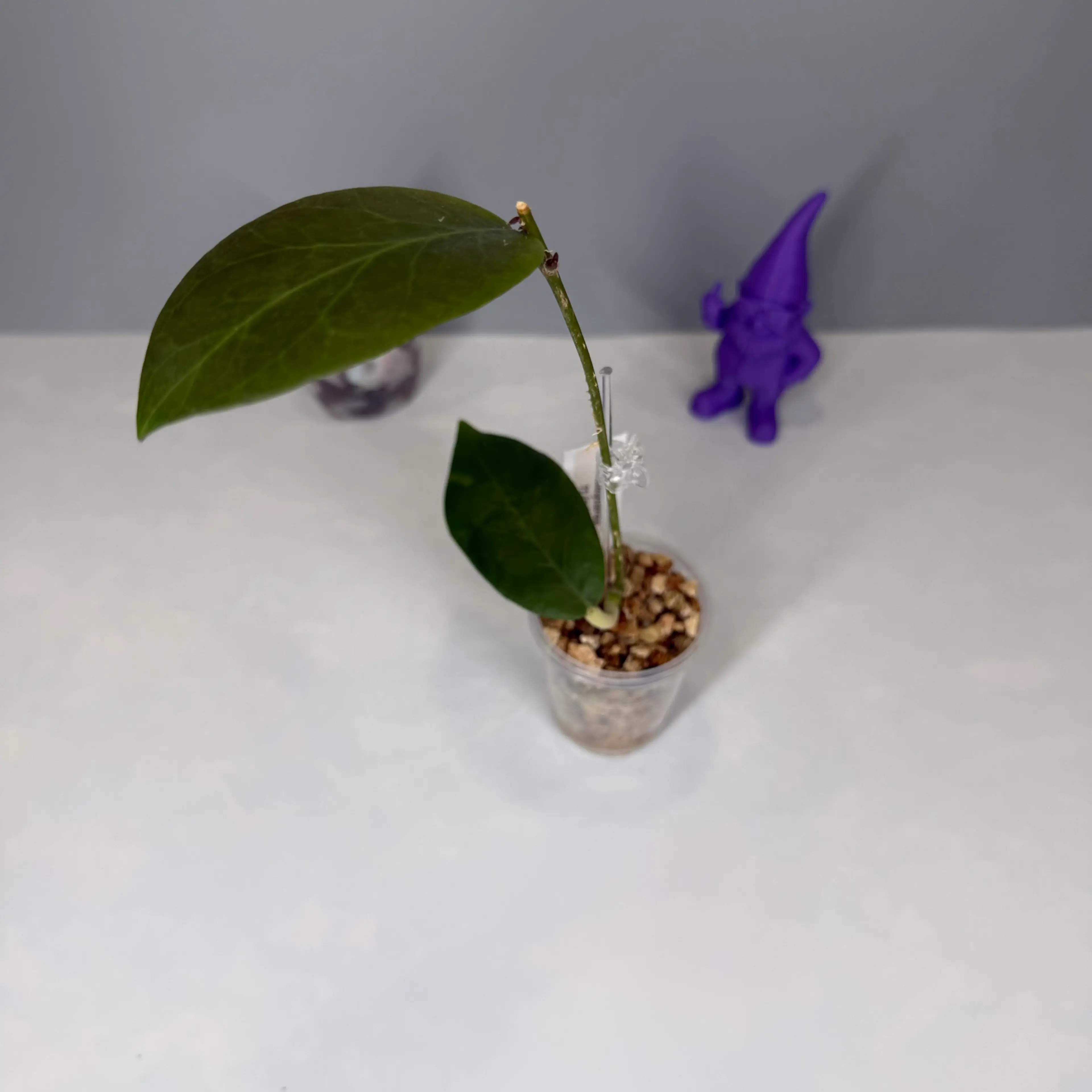 Image 3 of 3