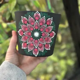 #02 - 4.7 inch Poinsettia