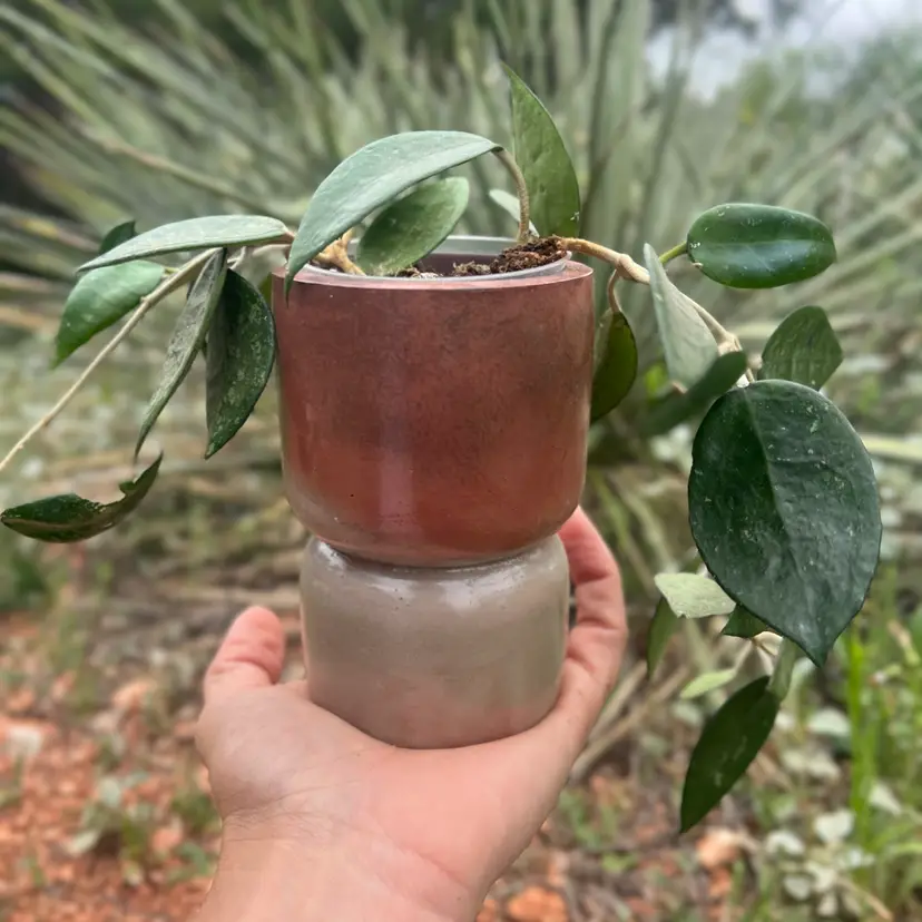 4” Rust Double Bubble Concrete Planter
