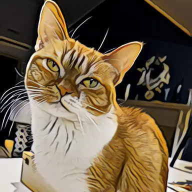 Tabby Cat Treasures ( Michele )