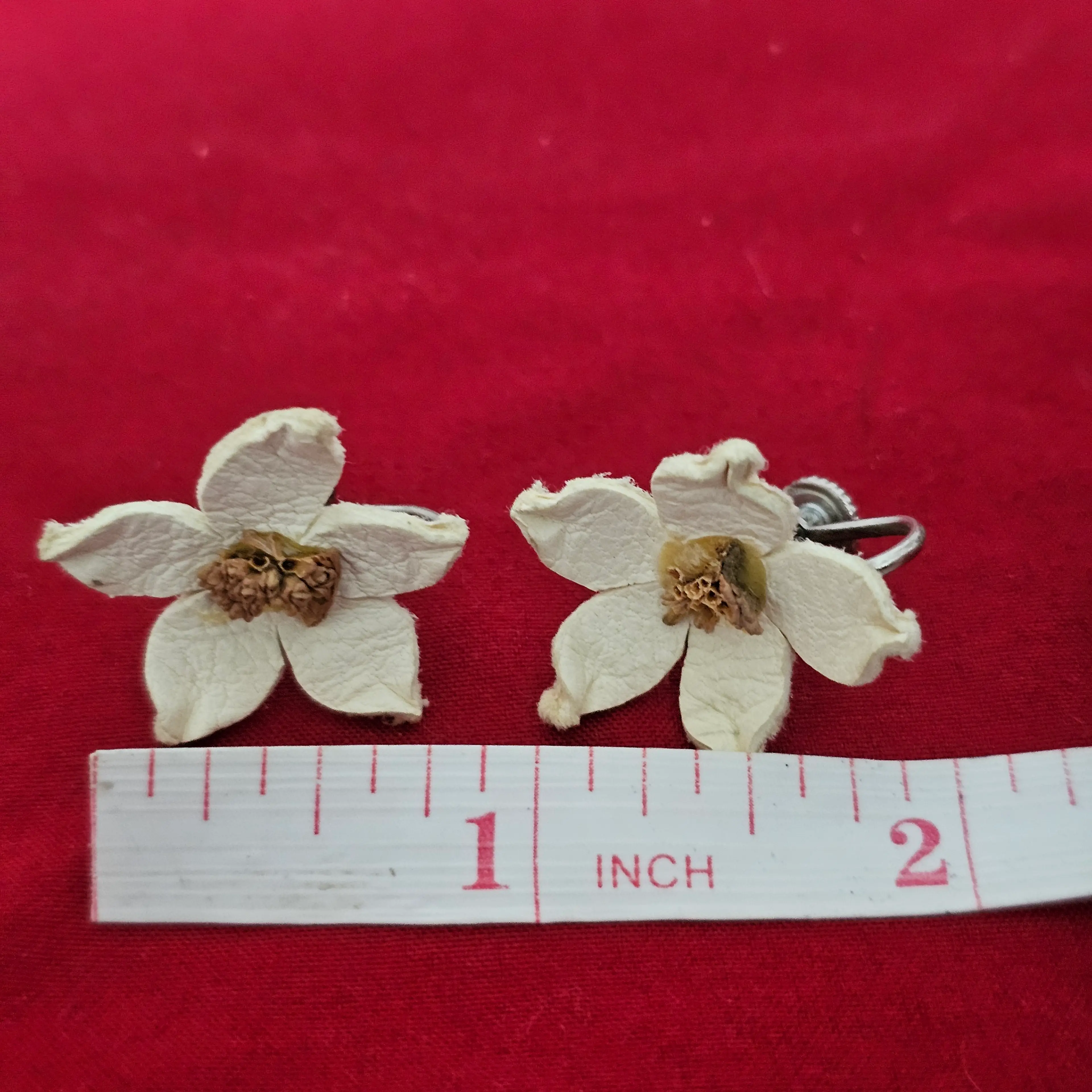 Image 3 of 7