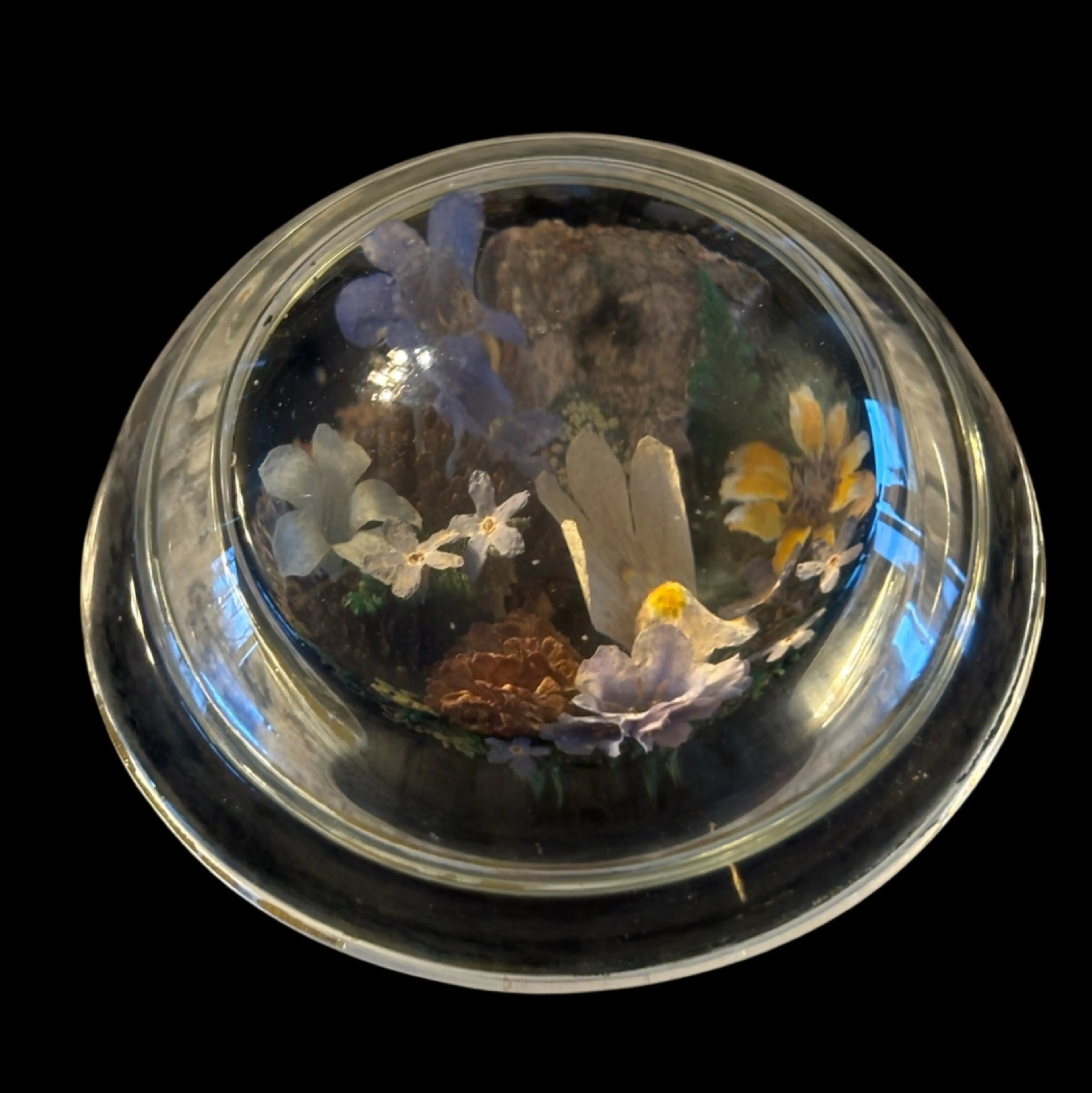 Image 4 of 5