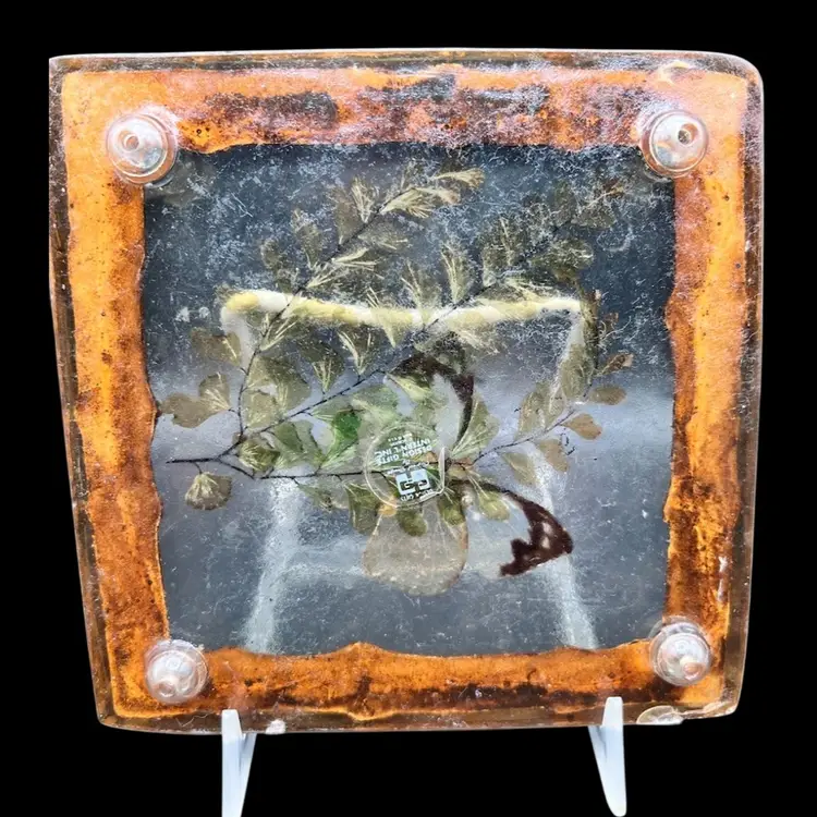 #251A Vintage Lucite Trivet with Butterfly and Leaves Encased inside