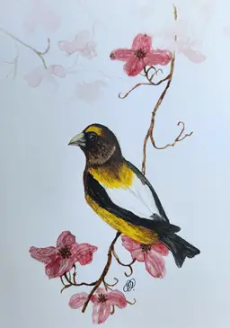 Grosbeak Original Watercolor Painting Signed By The Artist 5x7
