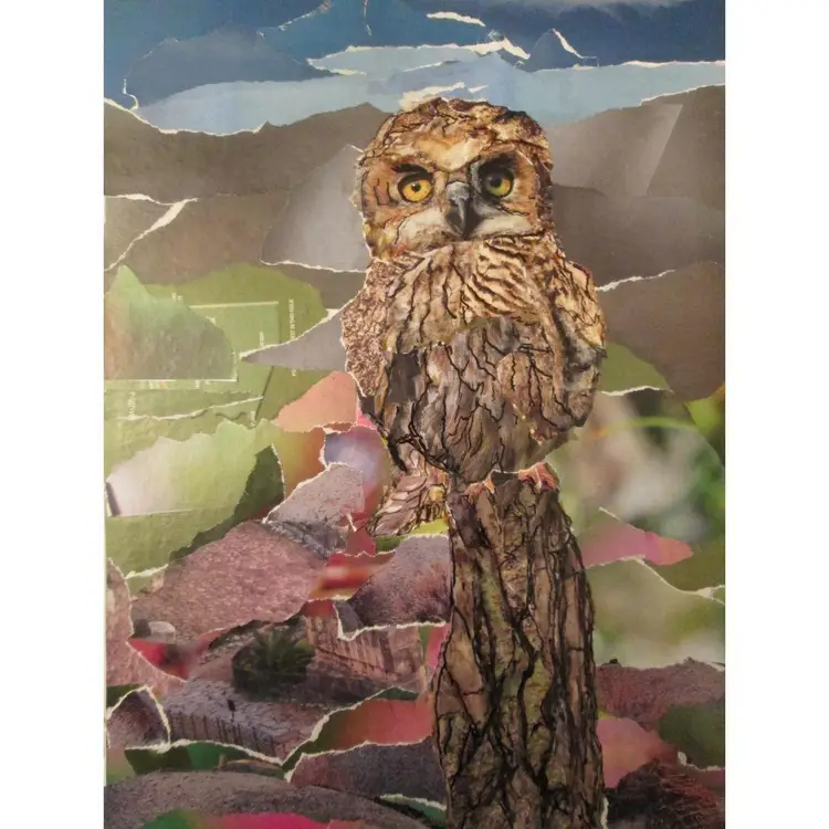 "Owl Only Have Eyes For You" Paper Collage 9" x 12"