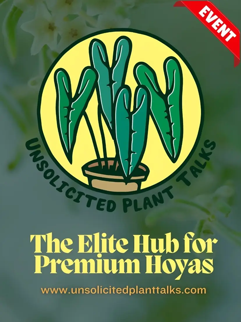 Livestream thumbnail