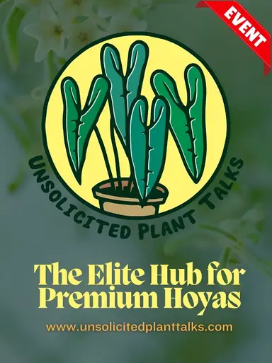 No Ragrets Over Here!