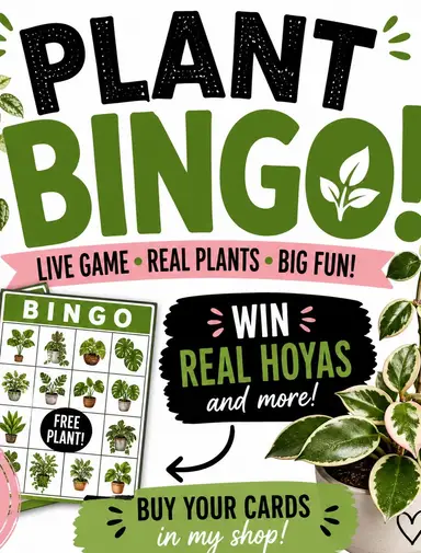 Bingo !