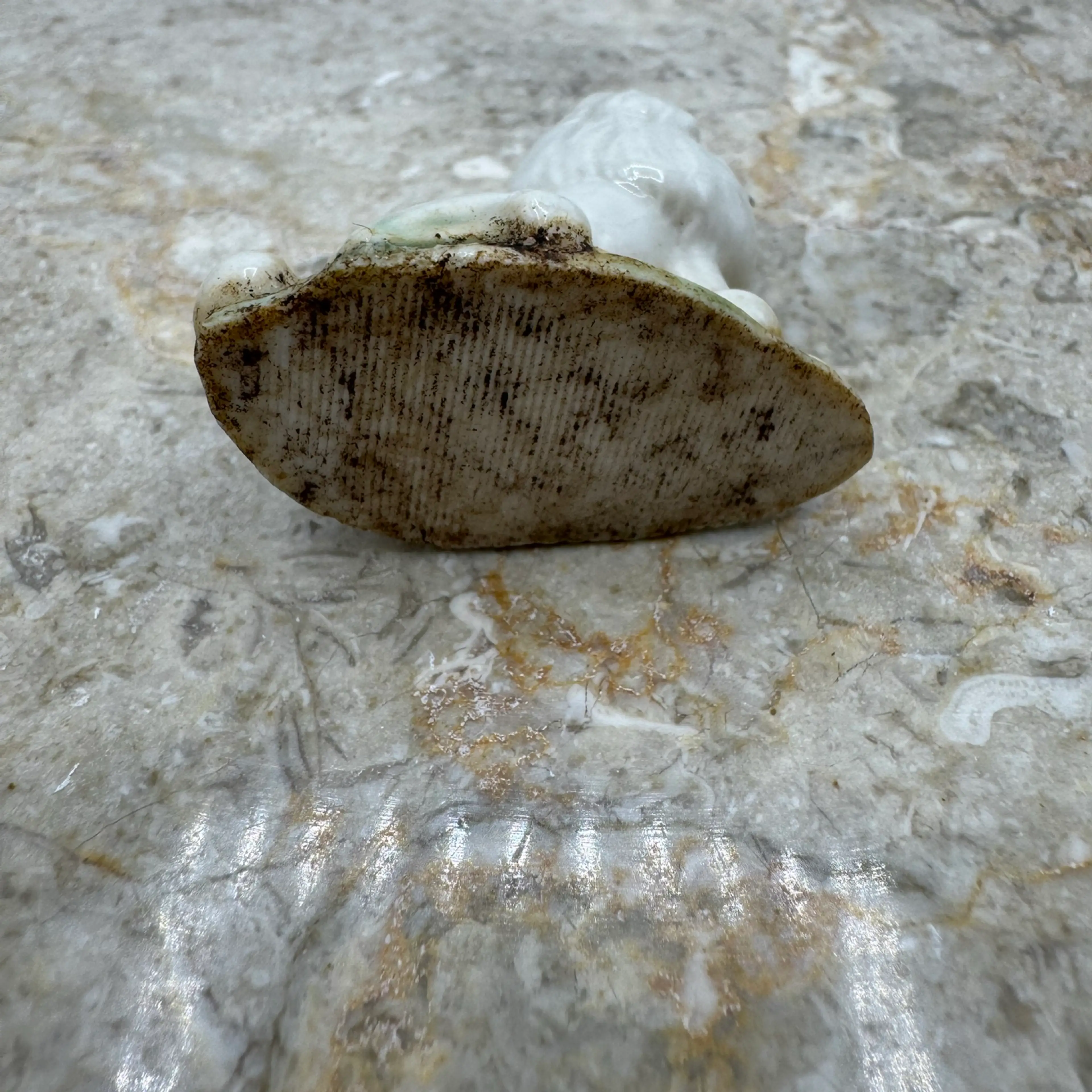 Image 5 of 7