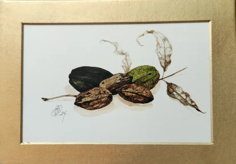 Pecans with matte original watercolor painting Signed By The Artist 5x7
