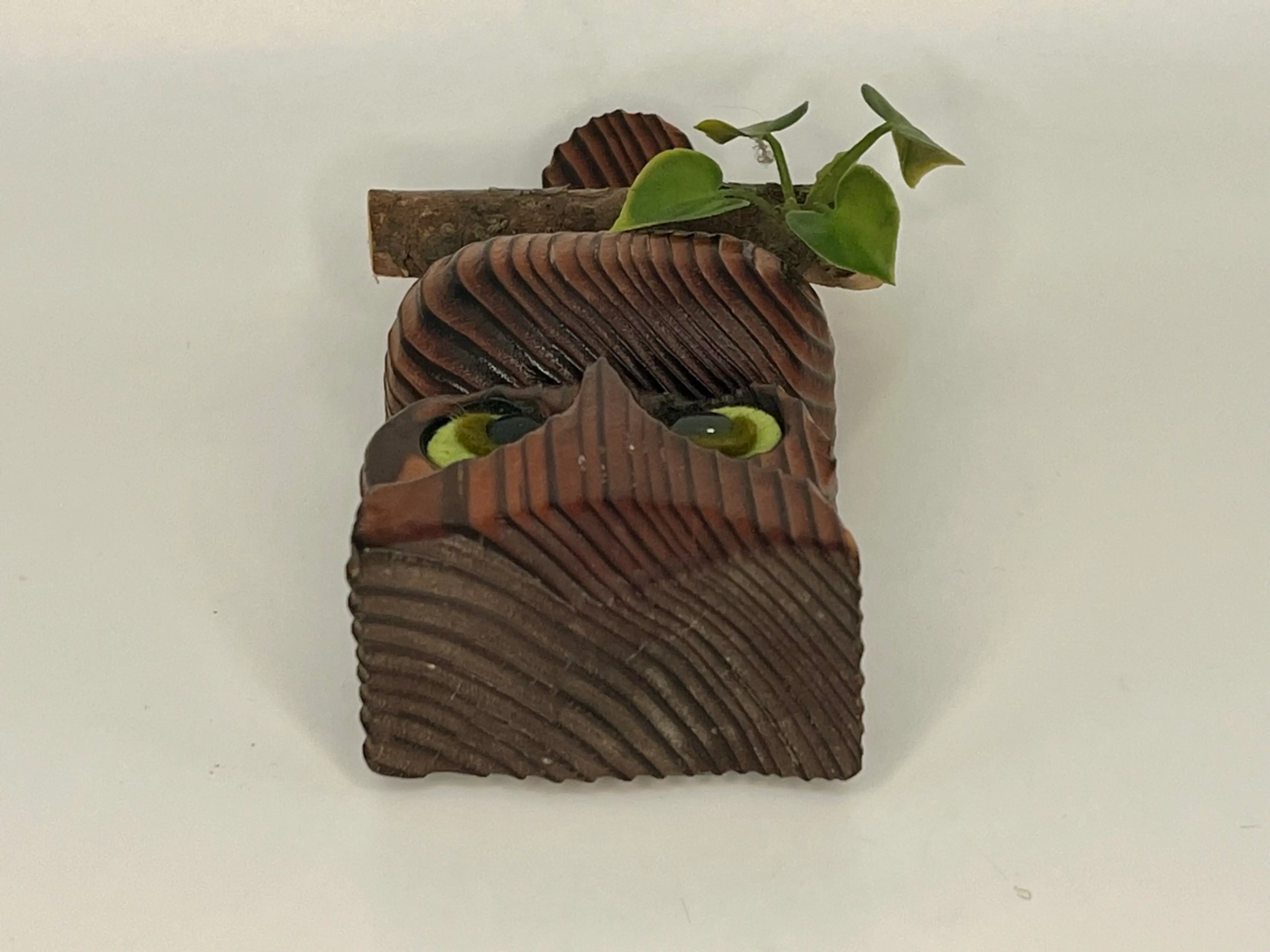 Image 3 of 7