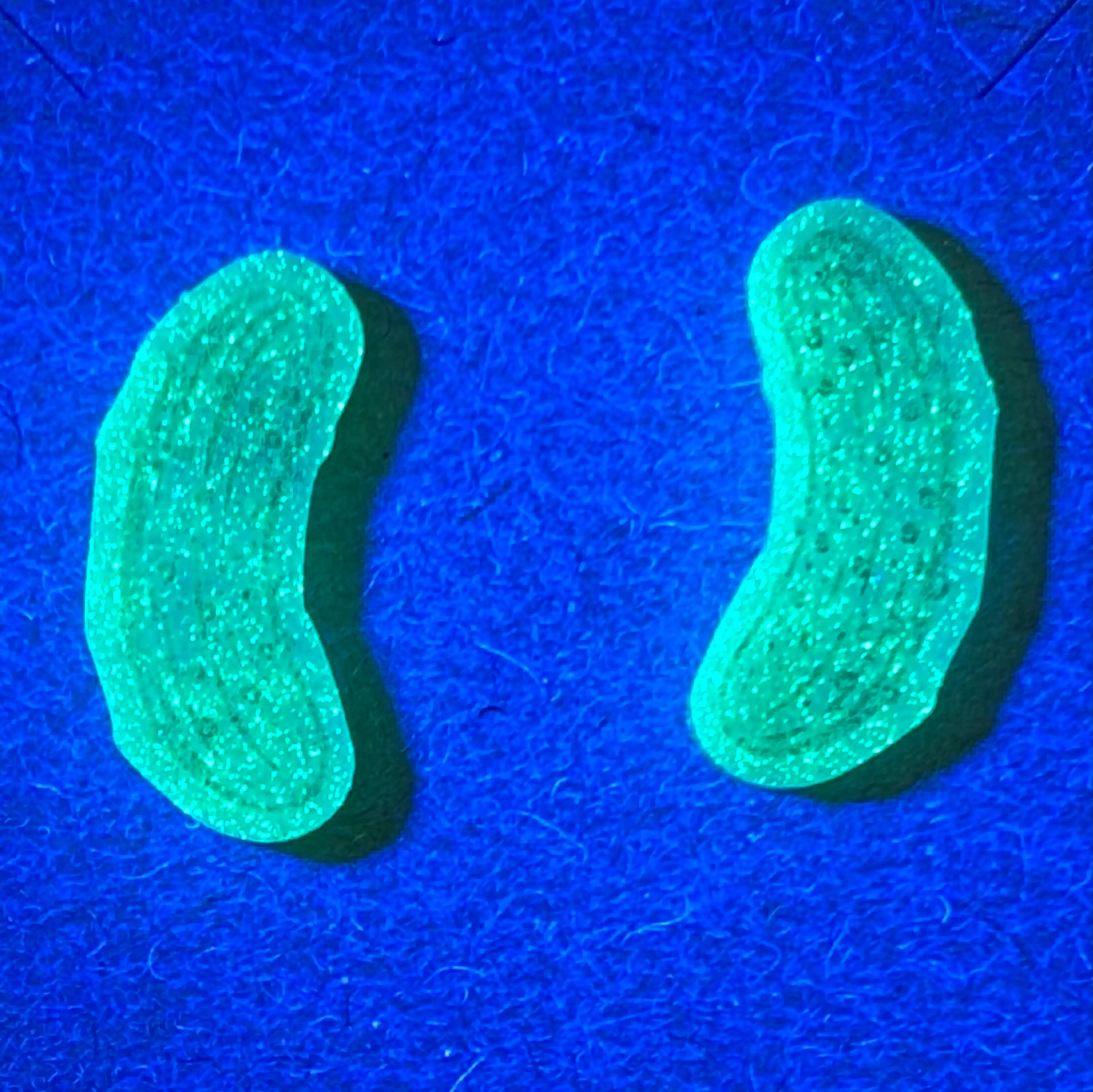 Image 4 of 4
