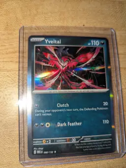 Yveltal Holo Pokémon Card