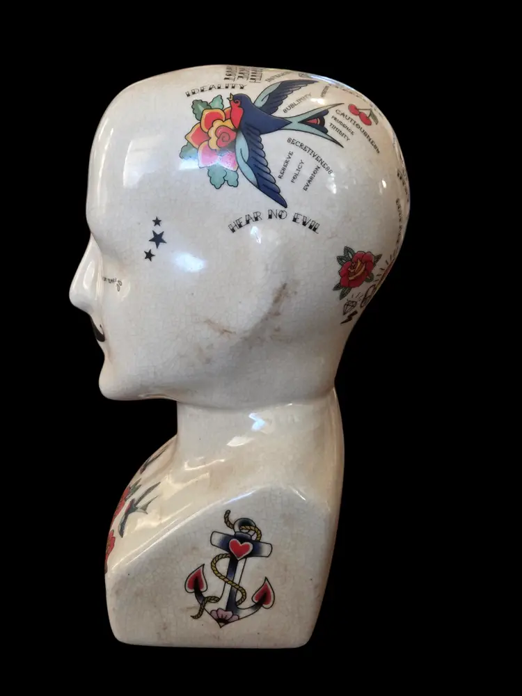 Vintage Phrenology Bust