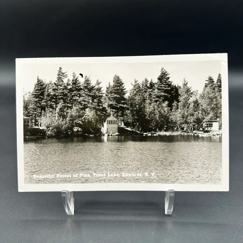 "Beautiful Forest of Pine"  Trout Lake in Edwards, New York RPPC Postcard Unused
