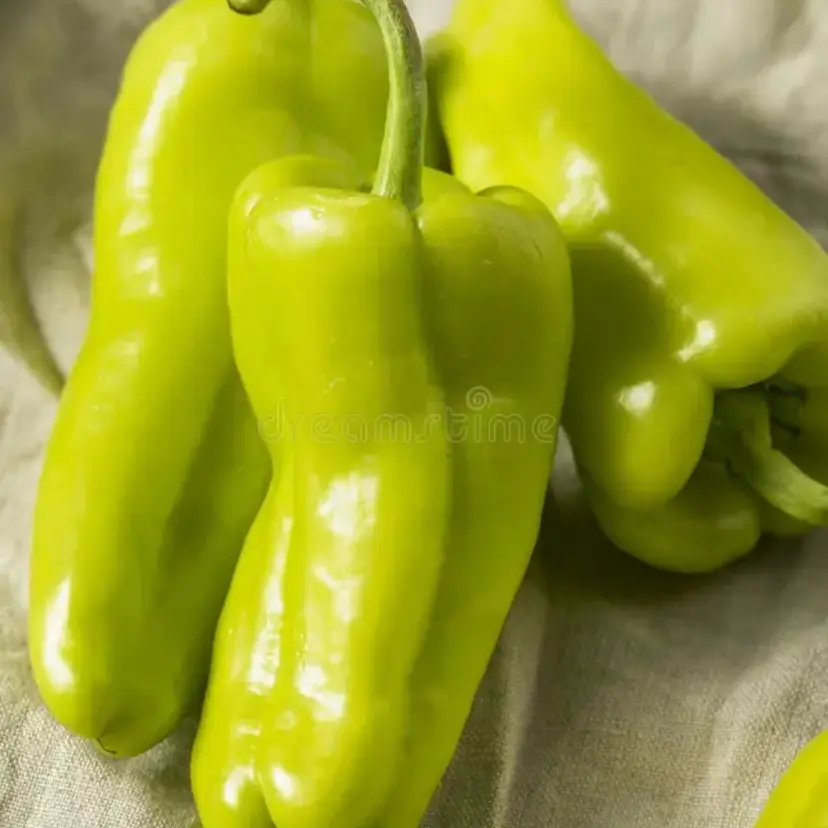 Cubanelle Pepper vegetable seeds