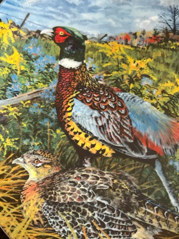 Wayne Anderson's 1986 " The Pheasant” Limited Edition Plate