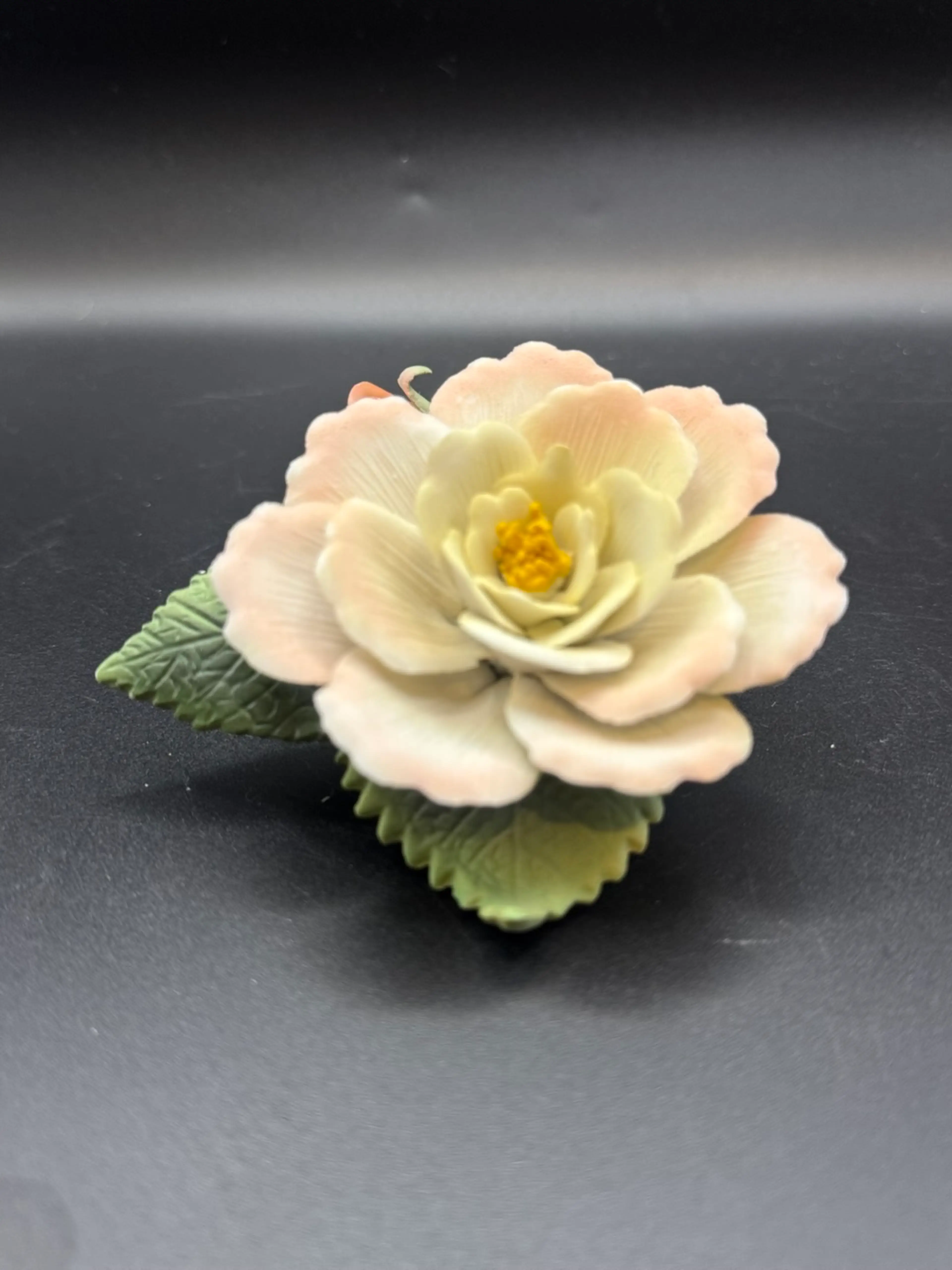 Image 2 of 6