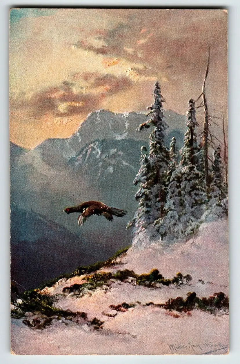 Flying Bird Aps Mountains Rustic Postcard Signed Muller Wildlife HKM 419 Germany
