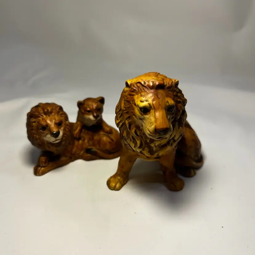 Lion Family UCTCI Japan