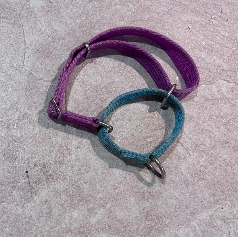 Dual-Color Slip Dog Collar