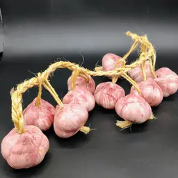 Vtg Rope of Shallots