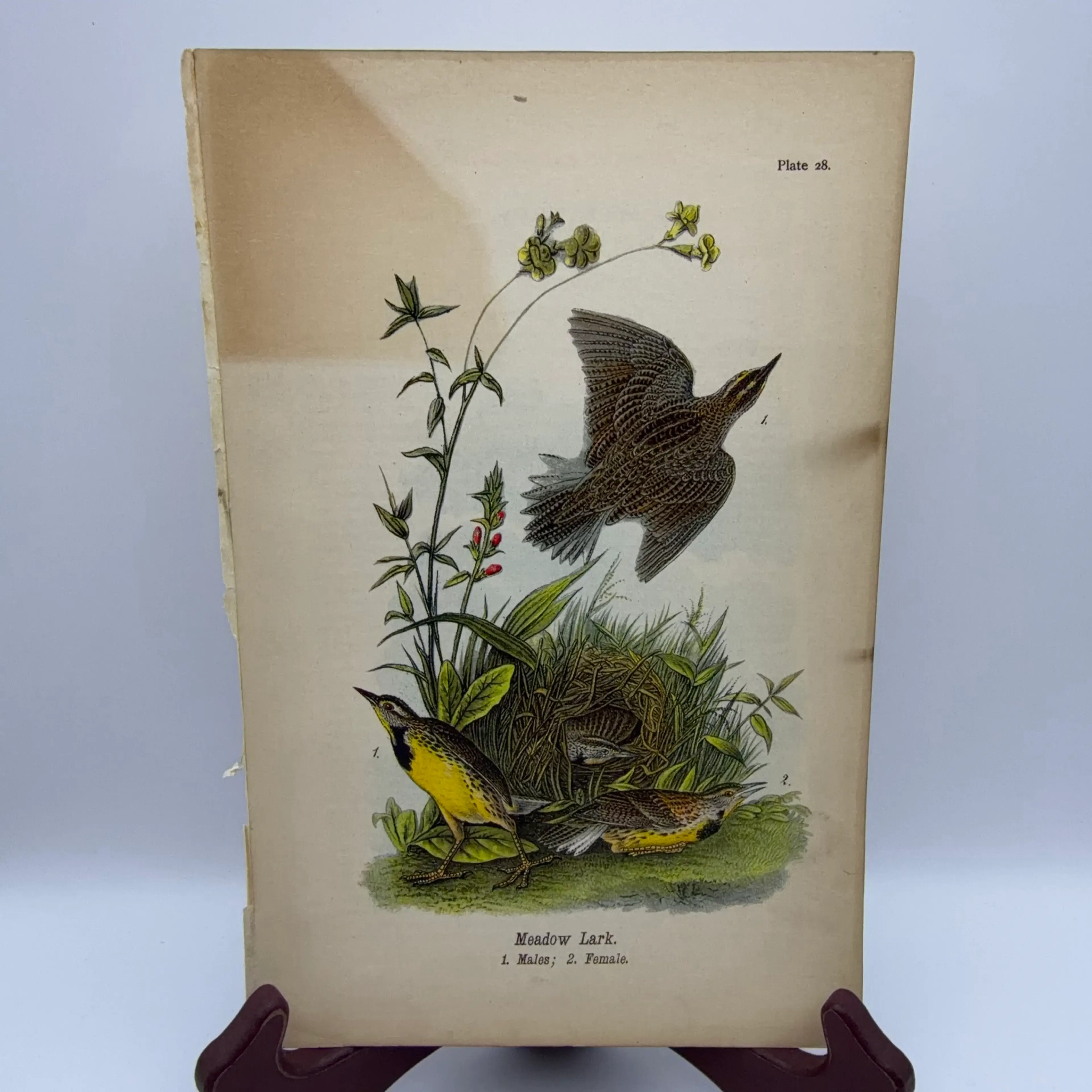 Image 2 of 9