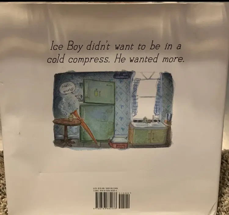 Ice Boy by David Ezra Stein (2017, Picture Book), Hardback, Very Good