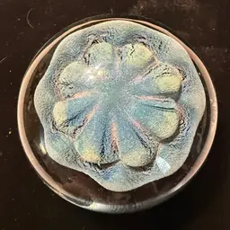 Vintage 1994 Robert Eickholt Art Glass Paperweight Round Jellyfish