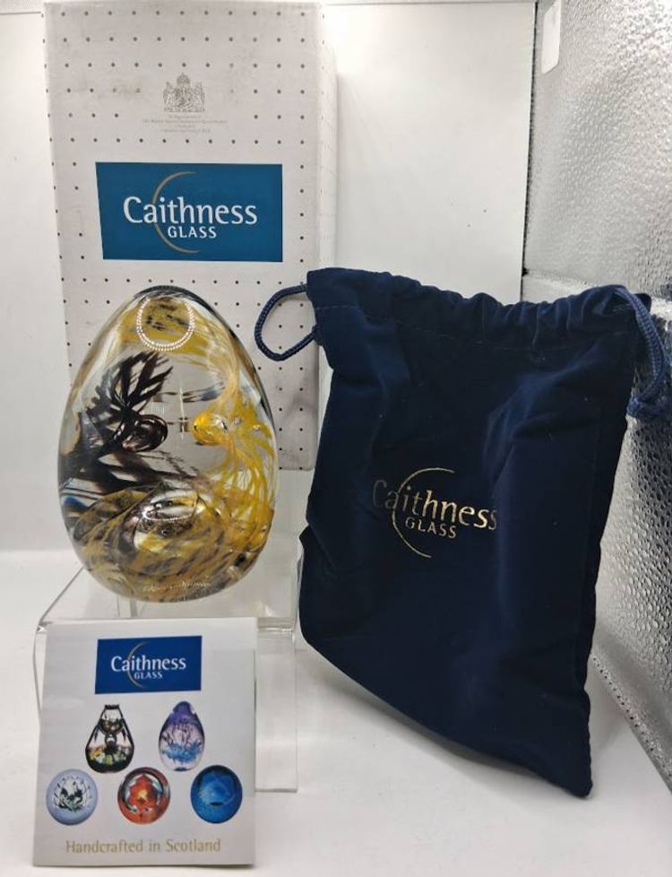 Caithness, Scotland NEW IN BOX, TARTAN WEAVE 'HUNTER' Large Egg Paperweight