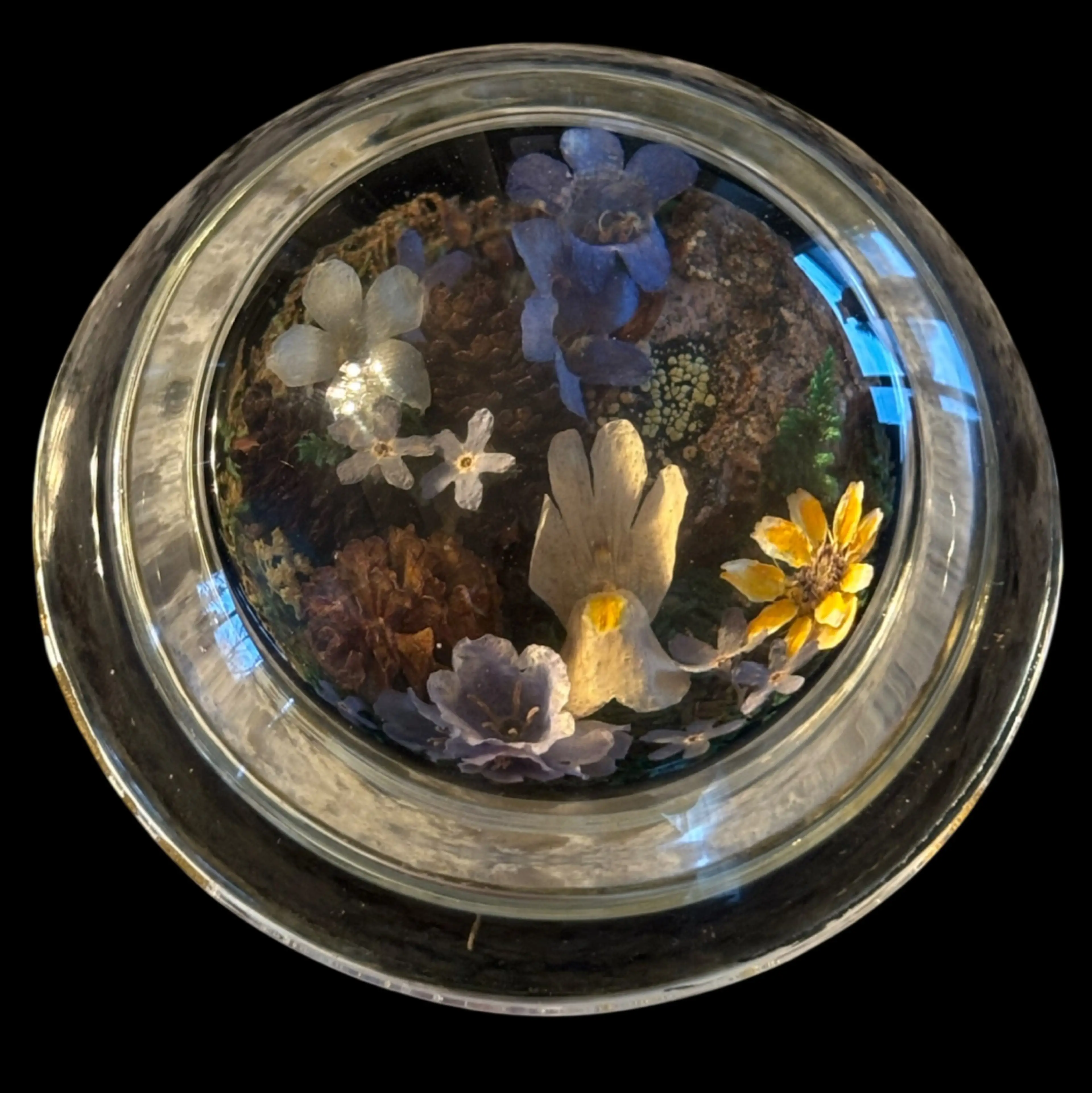 Image 2 of 5