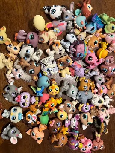 Littlest Pet Shops- Sunshinegirlsthrift Style 