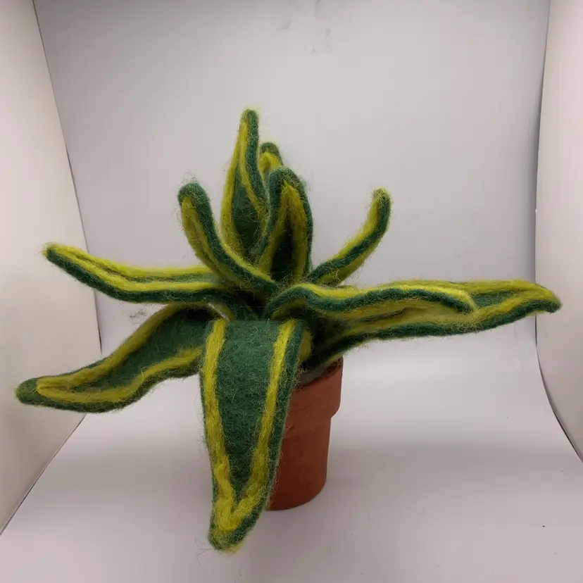 POW4 Felted Felt House Plant Fair Trade Littles Wool 7.5”