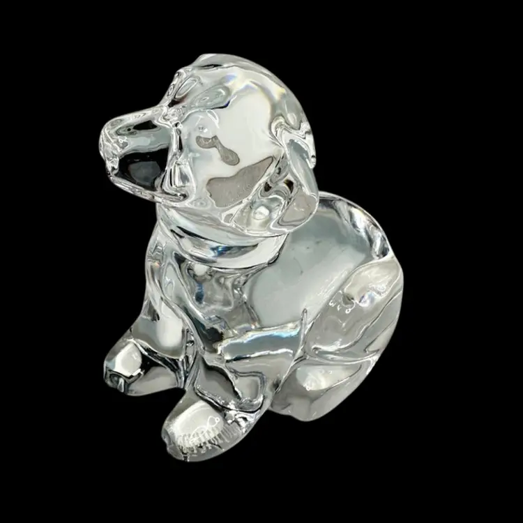 081. Waterford Lab Puppy