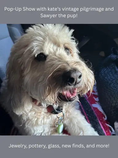 Pop-Up Show with Kate & Sawyer!