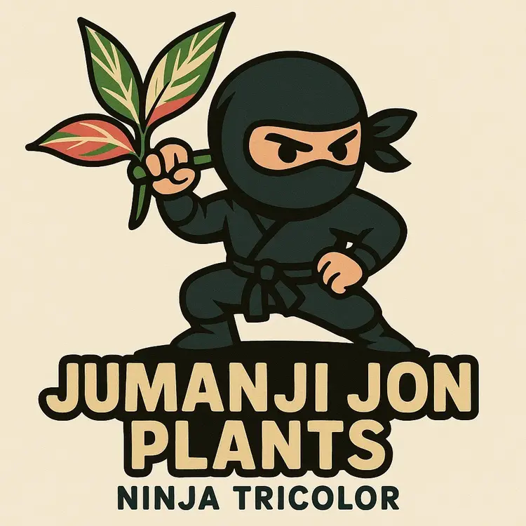 Stoners Choice Ninja 🥷 Tricolor TCs