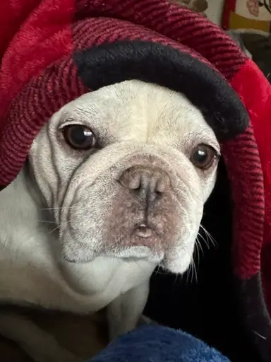 "White Out Sale"๐๐๐