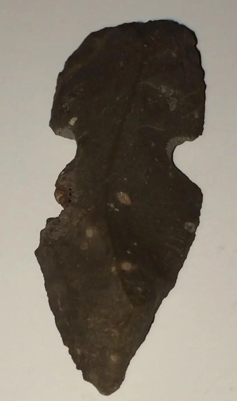 Ancient Arrowhead Artifact 4.6 Grams 1 1/2" long x 1/2" wide